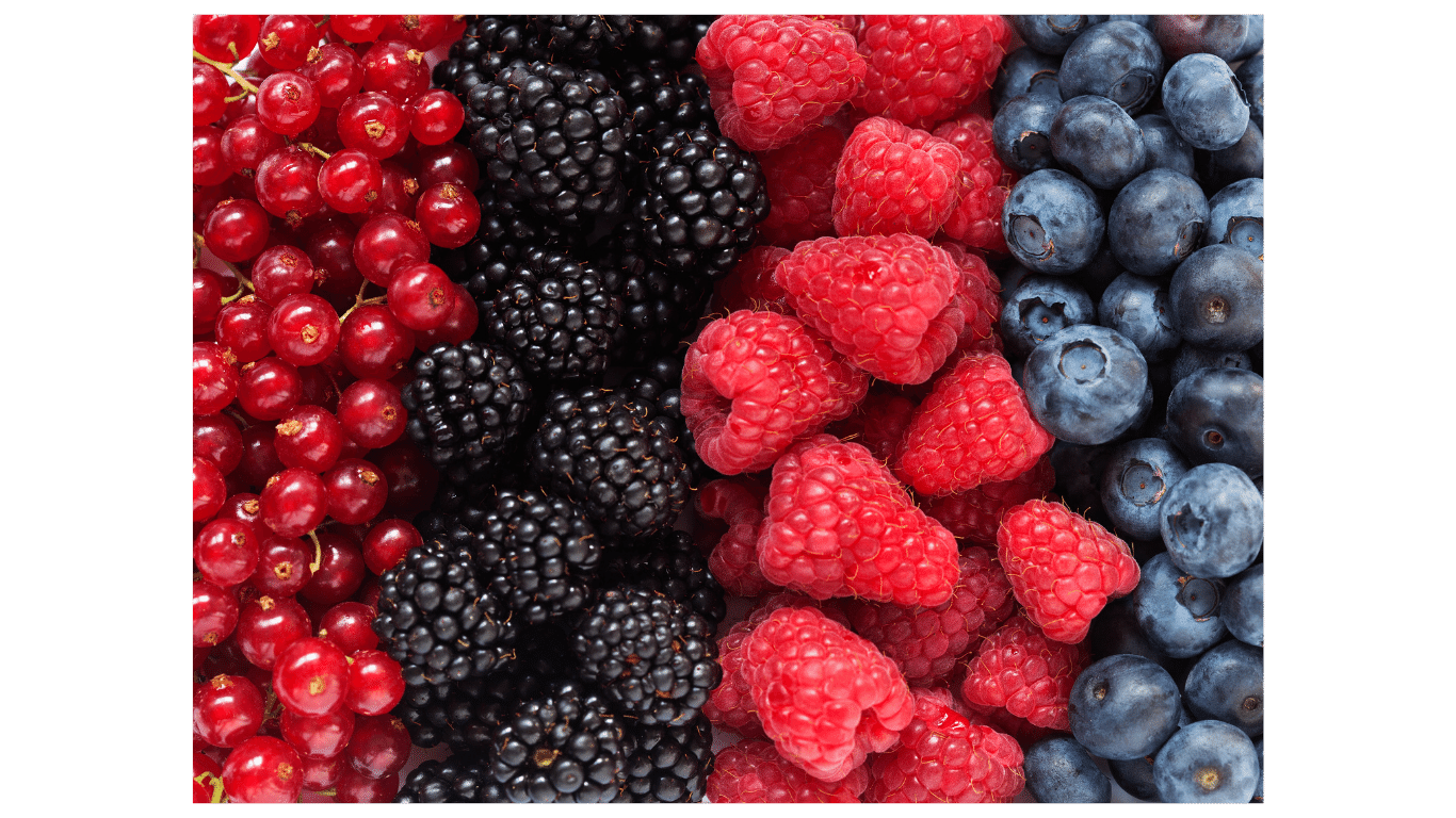 The Amazing Power of Berries: A Comprehensive Guide to Their Health Benefits