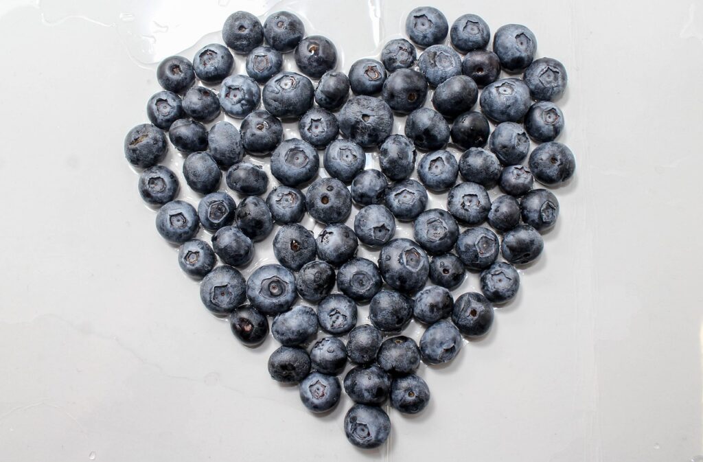 berry, blueberry, food-3359646.jpg