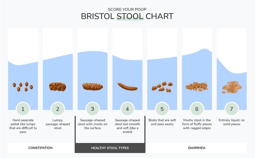 The Bristol Stool Chart, a diagnostic tool, classifies fecal matter into seven types, each indicating different things about your digestive system.