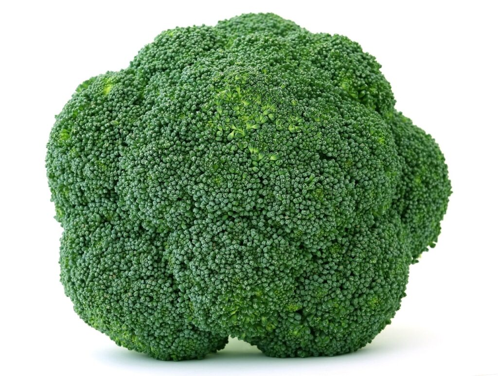 broccoli, food, green-1239151.jpg